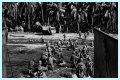 WWII's Most Daring Raids - Smithsonian Channel